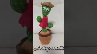 кактус-повторюшка