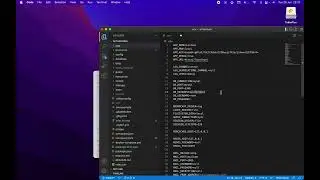 How to connect DBNgin to Laravel Project