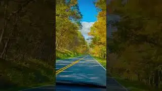 #fallcolours Scenic Shenandoah National Park Drive: Exploring Skyline Drive #nature