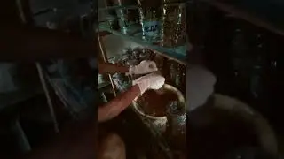 Panen Kroto Super Panen Rejeki