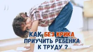Как без крика приучить ребёнка к труду?