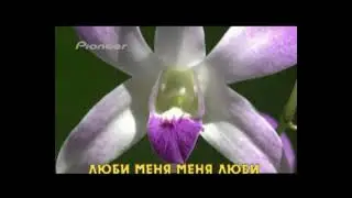 Верка Сердючка   Люби Меня