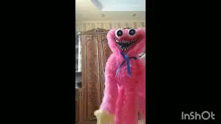 все мои новие тиктоки🤣🤪👻❤