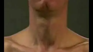 examination of the thoracic and respiratory system 2