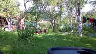 Имсвыпт