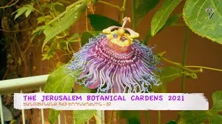 THE JERUSALEM BOTANICAL CARDENS 2021