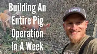 Building Our Own Pig Operation.