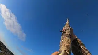 beretta a400 extreme plus