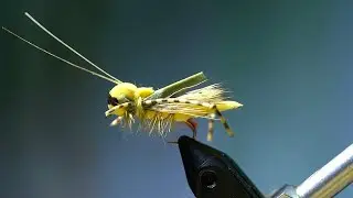 Brooks Hopper w VO