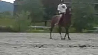 Kristine og Blaze på banen 2