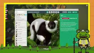 Birthday test stream | Building a Zoo!