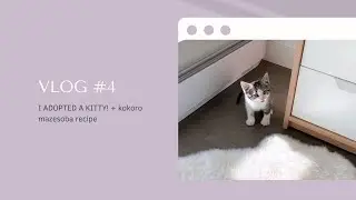VLOG #4 - I ADOPTED A KITTY! + kokoro mazesoba recipe