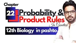Probability and product rules in genetics | FSC Biology Chapter 22