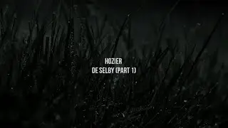 Hozier - De Selby (Part 1) (Official Lyric Video)