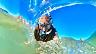 Our MOST Epic Snorkeling Adventure Yet ! - Gap Year Ep 13