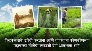 किटकनाशके खरेदी करताना आणि वापरताना कोणकोणत्या महत्वाच्या गोष्टींची काळजी घेणे आवश्यक आहे