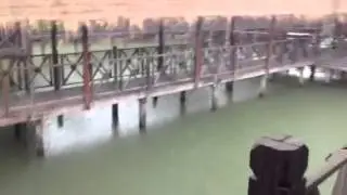 Тропический дождь