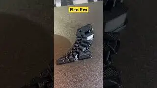 Mein erster Druck mit dem Anycubic Kobra 2 pro 
