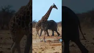 Namibia Highlights