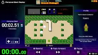 Octorok Onslaught S Rank - Nintendo World Championships NES Edition