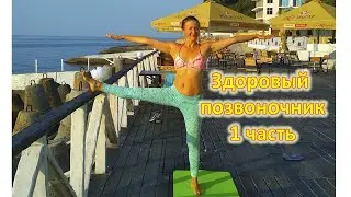 Комплекс Здоровый позвоночник 1часть