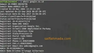whois in terminal linux