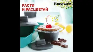Кокотница УльтраПро