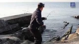 Ribolov Na Moru - Brancin Bez Tajni