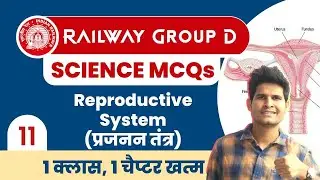 Railway Group D Science 🤩 Class-11 | Reproductive System (प्रजनन तंत्र) 