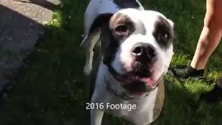 042BroD Lola Montage Bro D Meets Episode 3