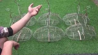 Báo giá lụp bẫy chào mào sài gòn? anh em mua liên hệ 0345688302