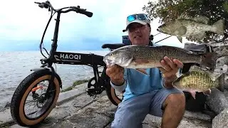 Fishing After a Devastating Hurricane! Using HAOQI E bike For NON-STOP Bite