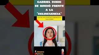 DIPUTADA BARCHIESI EXPLOTÓ CONTRA EL PDTE. GABRIEL BORIC 😱 #shorts #politics #chile #president