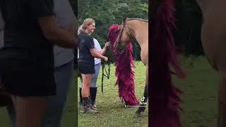Boudoir session with horses