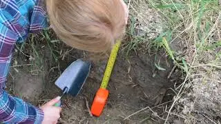 TREE Video 5: Soil Sample Collecting