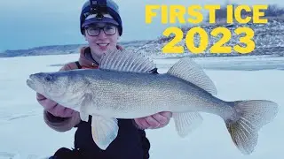 FIRST ICE Walleye Slam!! (Early Ice)
