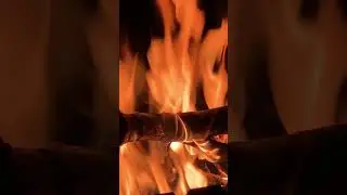 Вечерняя медитация.