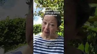 18 августа 2024 воскресенье