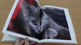 Моя большая книга 
