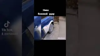 нива Боковой удар в крыло
