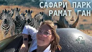 Сафари парк Рамат Ган | Что поделать в шаббат?