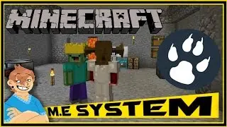 FTB Direwolf20 l WE HAVE AN M.R SYSTEM NOW