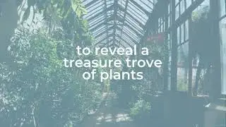 Cambridge University Botanic Garden