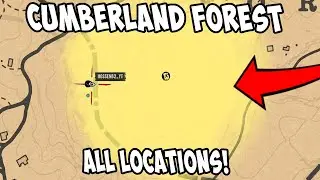Red Dead Online Cumberland Forest Treasure Map All Locations