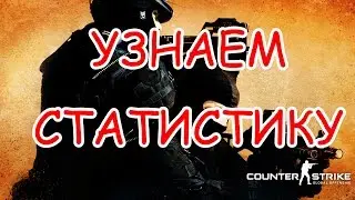 Как узнать статистику игрока CS : GO ? [Полезности]