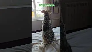 Скоро весна, хочется уже тепла.