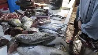 PASAR IKAN PANGANDARAN BAGIAN 1