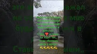 Обретешь удачу в делах, если....💫Ставь❤С любовью. Миа🧚‍♀️🪄❤