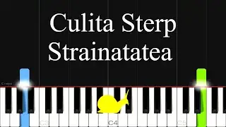 Culita Sterp - Strainatatea negativ 2023 Piano Tutorial