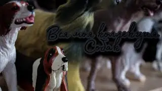 Я БОЛЬШЕ НЕ КОЛЛЕКЦИОНИРУЮ ФИГУРКИ.. // МОЯ КОЛЛЕКЦИЯ СОБАК ШЛЯЙХ // МОЯ КОЛЛЕКЦИЯ ВОЛКОВ ШЛЯЙХ //